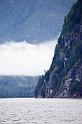 Fog Bank